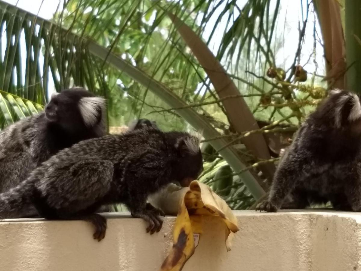 Pousada Vila Dos Santos Pôrto das Galinhas 外观 照片